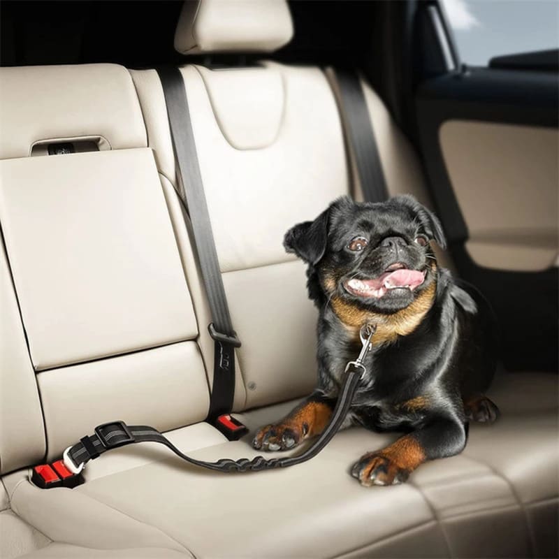 Sicherheitsgurte für Hunde im Auto - 1# zum kleinen Preis